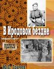 В Иродовой бездне. Книга 3