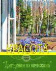 Красота. Книга 1 "Драгоценное из ничтожного"