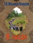 В лесах. Книга 2